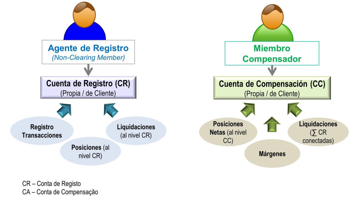 estrutura de contas es