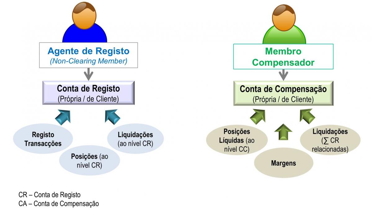 estrutura de contas