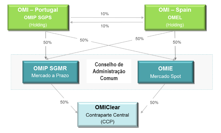 Estrutura Organizacional do Grupo OMI